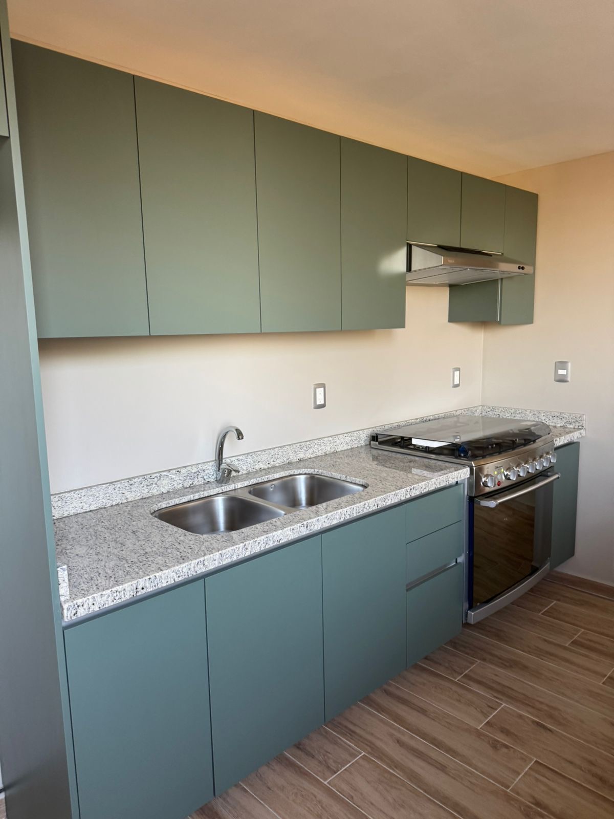 Cocina color romero (1)